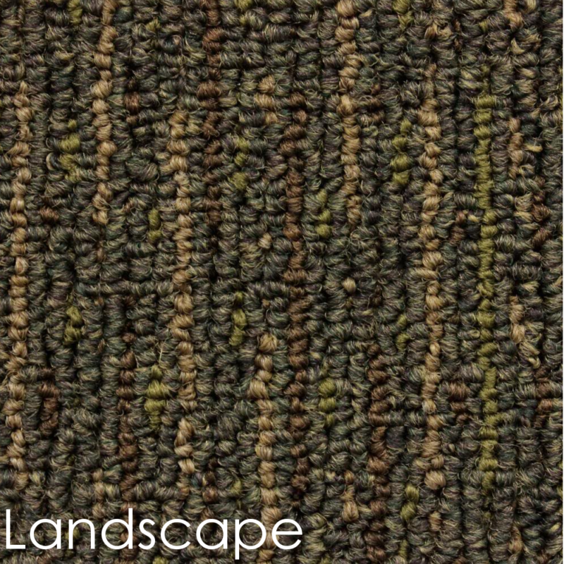 Durango Level Loop Indoor Area Rug Collection | Durable Synthetic Fiber in Landscape Pattern